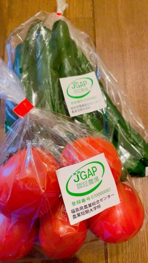 福島　野菜　ビタミン　ミネラル　トマト　きゅうり